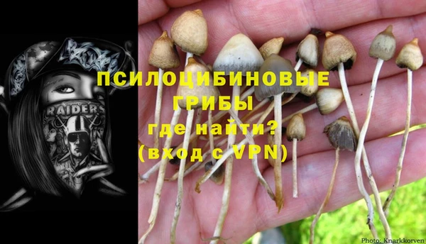 PSILOCYBIN Мегион