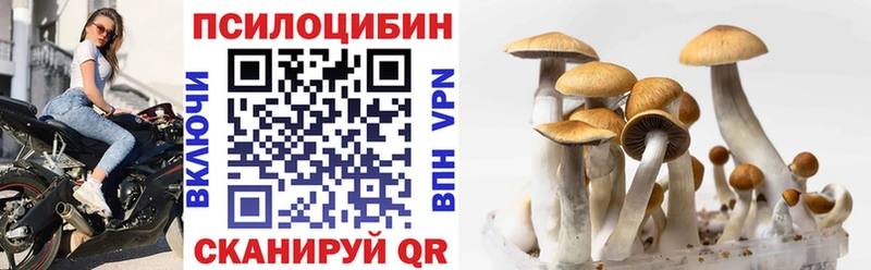 Галлюциногенные грибы мицелий  продажа наркотиков  Никольск 